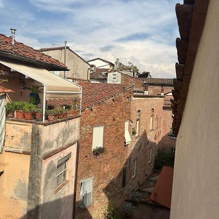 La Casa Del Galletto - At The Top Of The City Lucca Exterior foto
